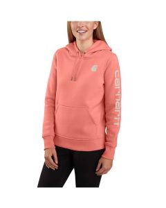 Carhartt Women's Clarksburg Graphic Sweatshirt
