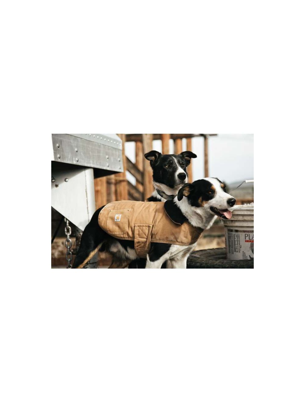 Carhartt Chore Dog Coat