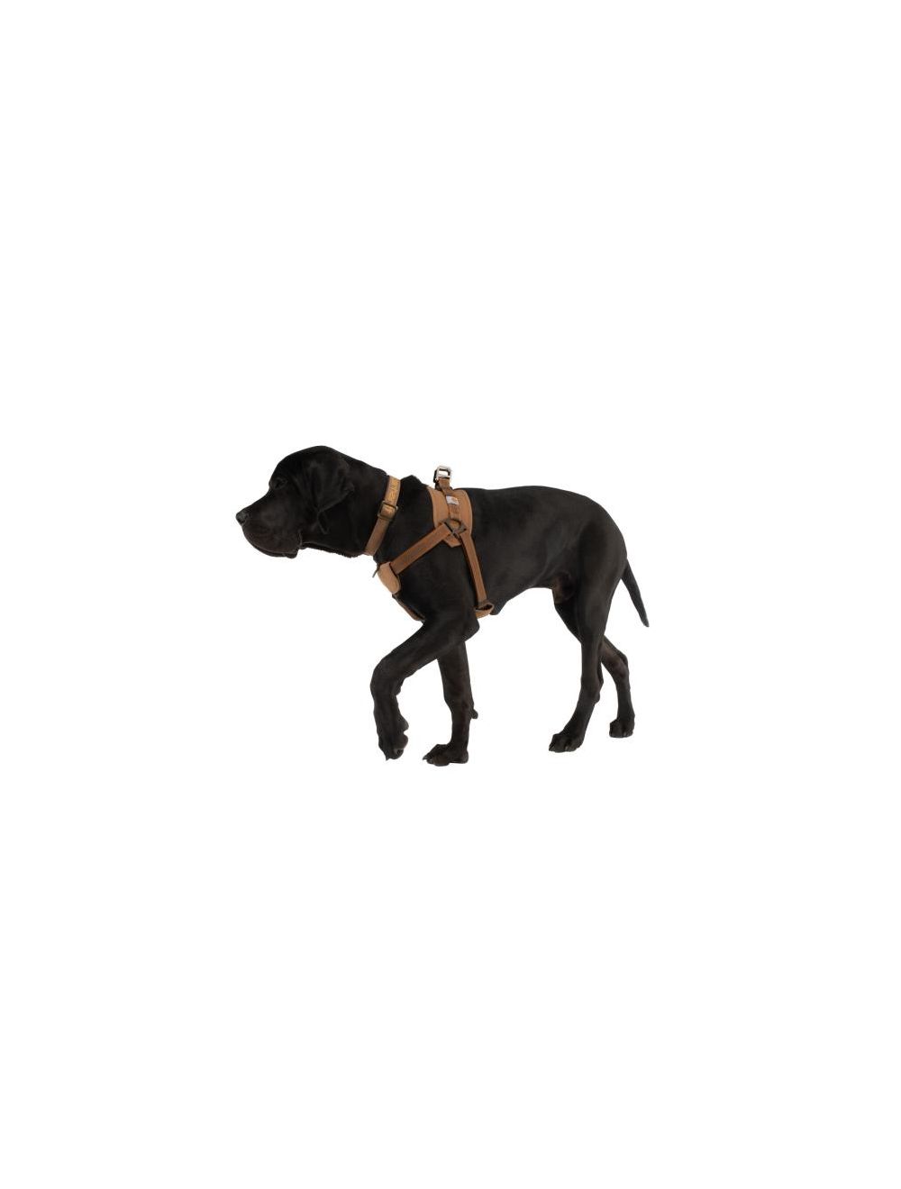 Carhartt harness store