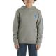 Carhartt Youth Long-Sleeve Graphic Sweatshirt