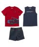 Carhartt Boys Toddler T-Shirt and Denim Short Set