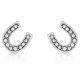 Montana Crystal Clear Stuck on Luck Post Earrings