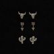Blazin Roxx Earrings Set