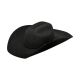 Ariat Youth Wool Black Hat
