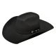 Ariat 2X Wool Added Money Black Felt Hat