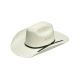 Twister Youth Western Hat