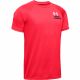 Under Armour Boys' Tech Splash Chest Stripe Short Sleeve