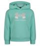 Under Armour Girl's Satin Applique Logo Hoodie